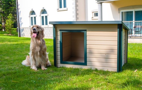 Plastic dog kennel cabin - plastic,