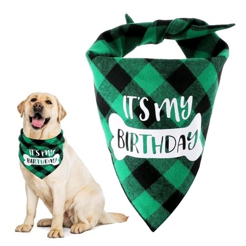 Large dog birthday boy - large, 27"