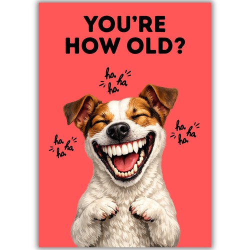 Funny dog birthday card - funny,