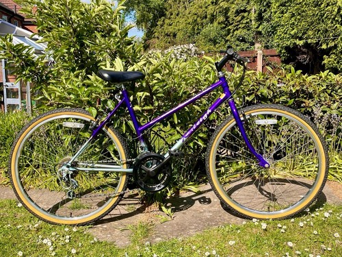 Raleigh step through bike - raleigh,