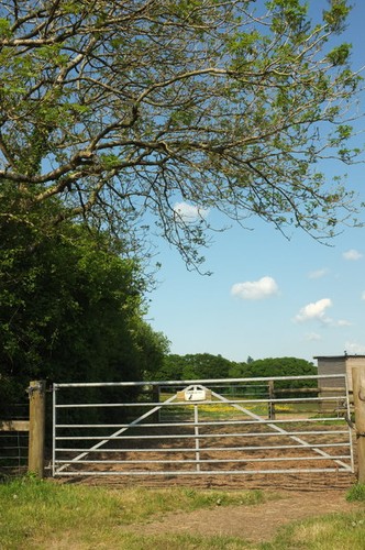 Photo 6x4 field - 6x4, entrance