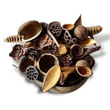 SEED & NUT PODS - Botanical