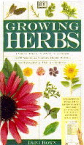 Growing herbs bown - deni, deni