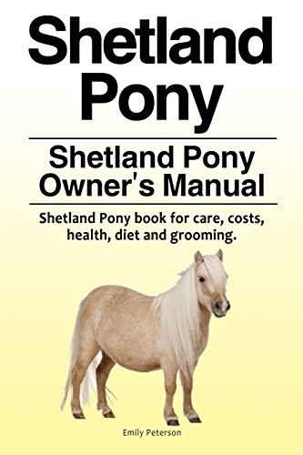 Shetland pony - pony.,