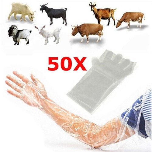 50pcs disposable long arm - long,