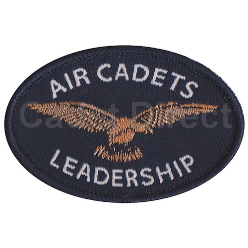 Air cadet basic leadership - basic,