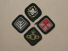 Chief Scout Award, Advanced