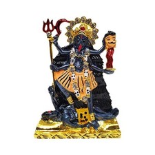 Kaali mata Statue Shiva Alter