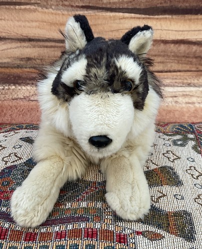 Eco living nature - living, husky
