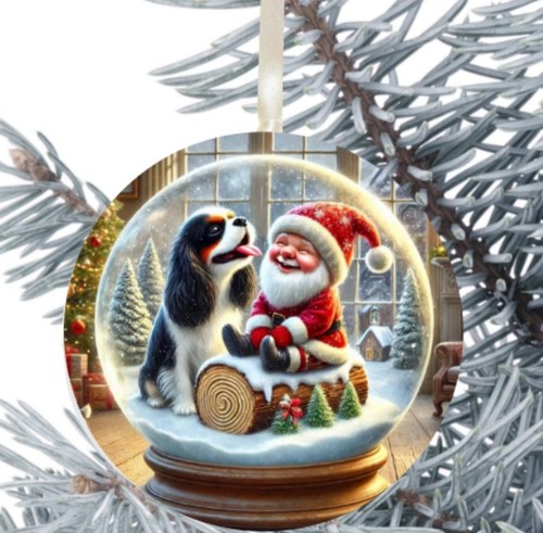 King charles cavalier spaniel - charles,