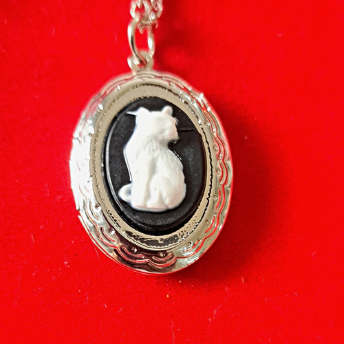 Silver tone oval photo - oval,
