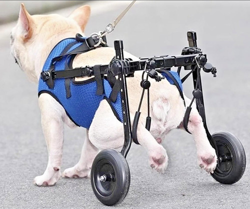 Adjustable pet dog cart - dog,