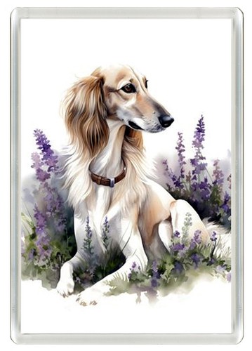 Saluki dog fridge - magnet, great