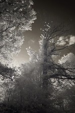 FULL SPECTRUM Conversion Service for Sony cameras. PLEASE READ for quotation