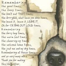 Remembering Dog Little Dog