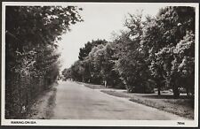 FERRING ON SEA postcard