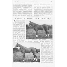 HORSES Captain Forester's