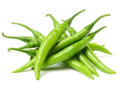 Chilli pepper plants hot - chilli,