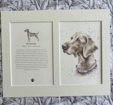 MOUNTED DOG PRINT PAGE ART BOOKPLATE HANNAH DALE WEIMARANER DOUBLE MOUNT NEW