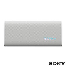 Sony Portable Bluetooth