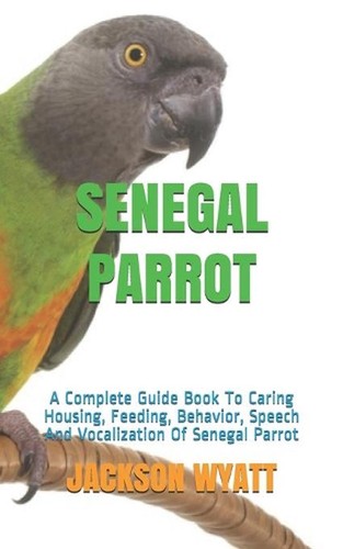 Senegal parrot complete - senegal, a