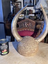 RARE WATER BUFFALO HORNS