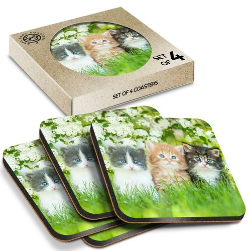 Boxed square coasters - x,