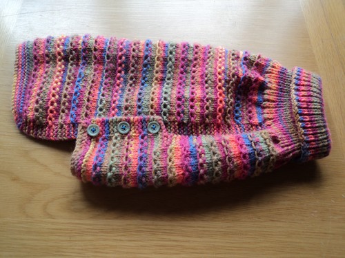 Hand knitted dog cat - hand, dog/cat