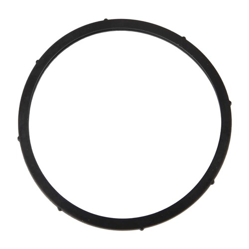Fuel pump tank ring seal - fuel, fit