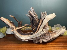 Large 25” Manzanita