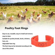 100PCS/Bag Poultry Leg Bands