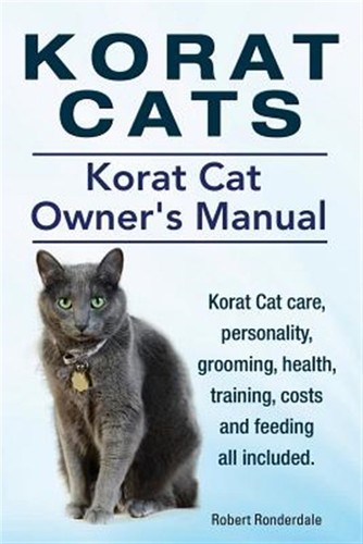 Korat cats - korat, owners