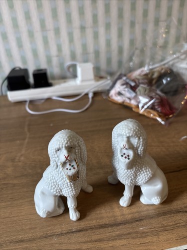 Pair dogs - pair,