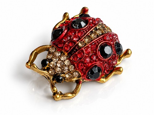 Ladybug ladybird brooch - ladybug, gold