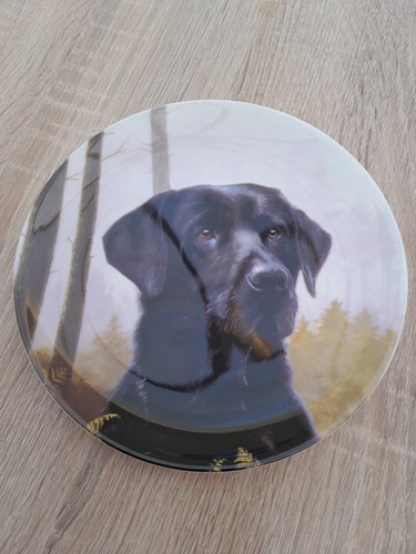 Wedgewood black labrador - wedgewood,