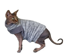 kitten SUPER WARM comfy Warm