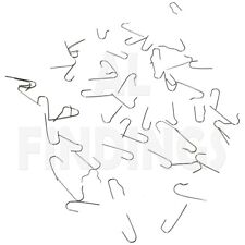 Watch Click springs Shepherds