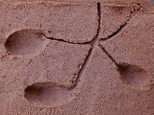 Ant Farm Sand 200 Gram Bags