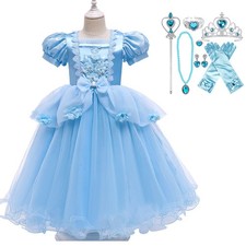 Cinderella Princess Fancy