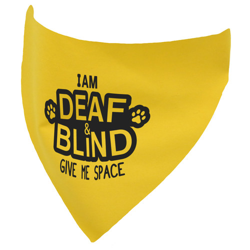 Deaf blind dog - am,