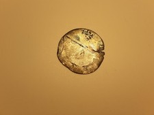 Philip & Mary Tudor 4 Pence