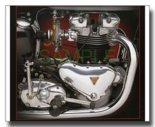 Triumph T110 Tiger engine