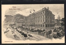 Artist postcard Como, Pliny