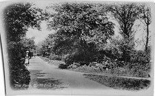 POSTCARD - LINCOLNSHIRE -