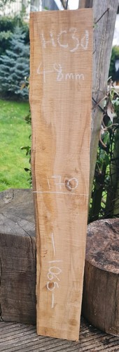 Live edge spalted chestnut - spalted,