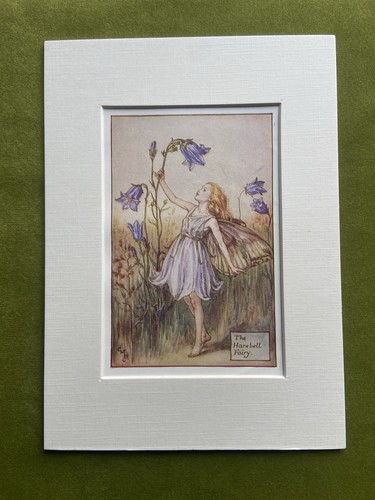 Harebell flower fairy - flower,