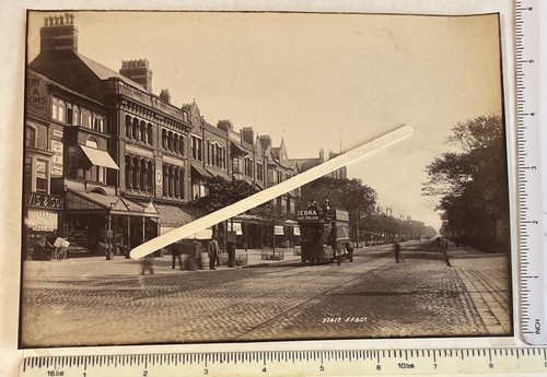 Southport lord street horse - southport,