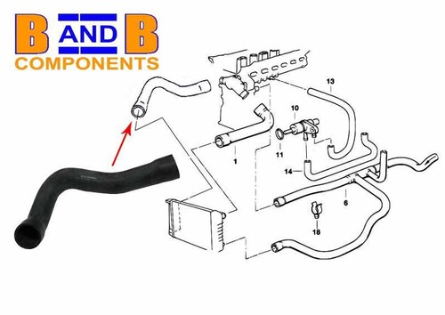 Bmw lower radiator - lower, water