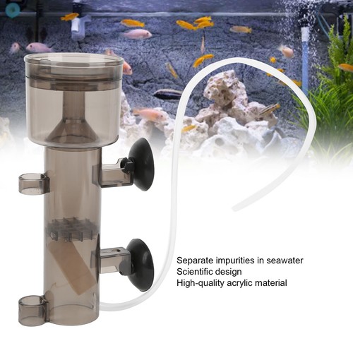 Aquarium protein skimmer - aquarium,