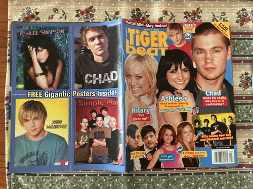 Tiger beat january 2005 - tiger,